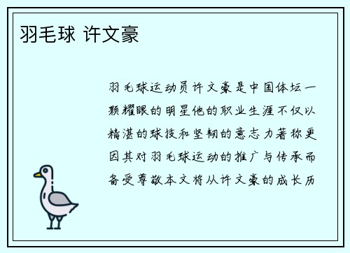 羽毛球 许文豪